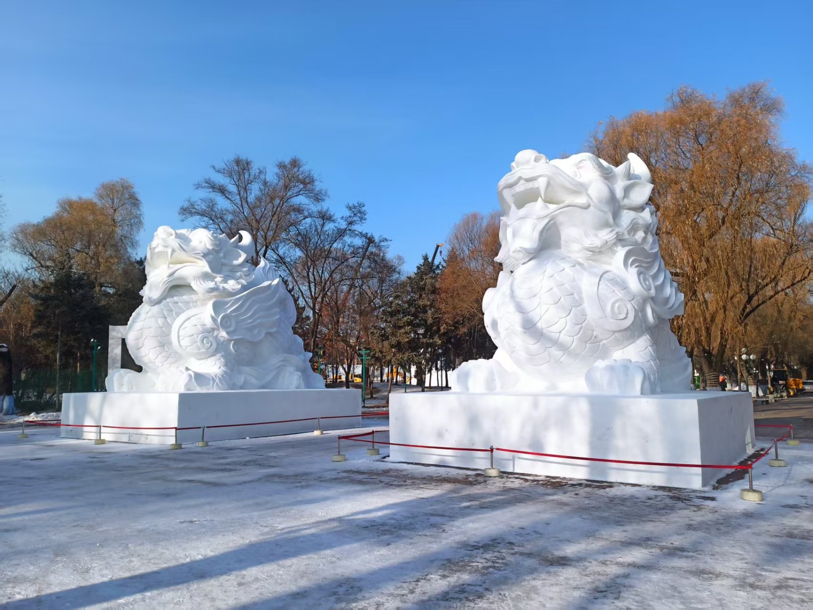 1765956500922626.jpg 1765956500922626.jpg